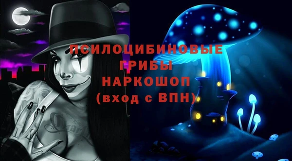 гашик Абинск