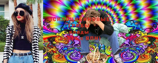 ешки Абаза