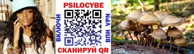 Псилоцибиновые грибы Psilocybine cubensis  где можно купить   Катав-Ивановск 